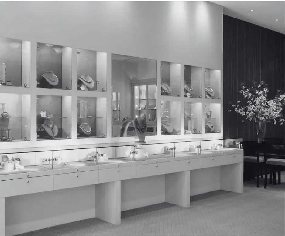 Jewellink jewellery store interior with elegant display cases and necklaces showcased on busts.